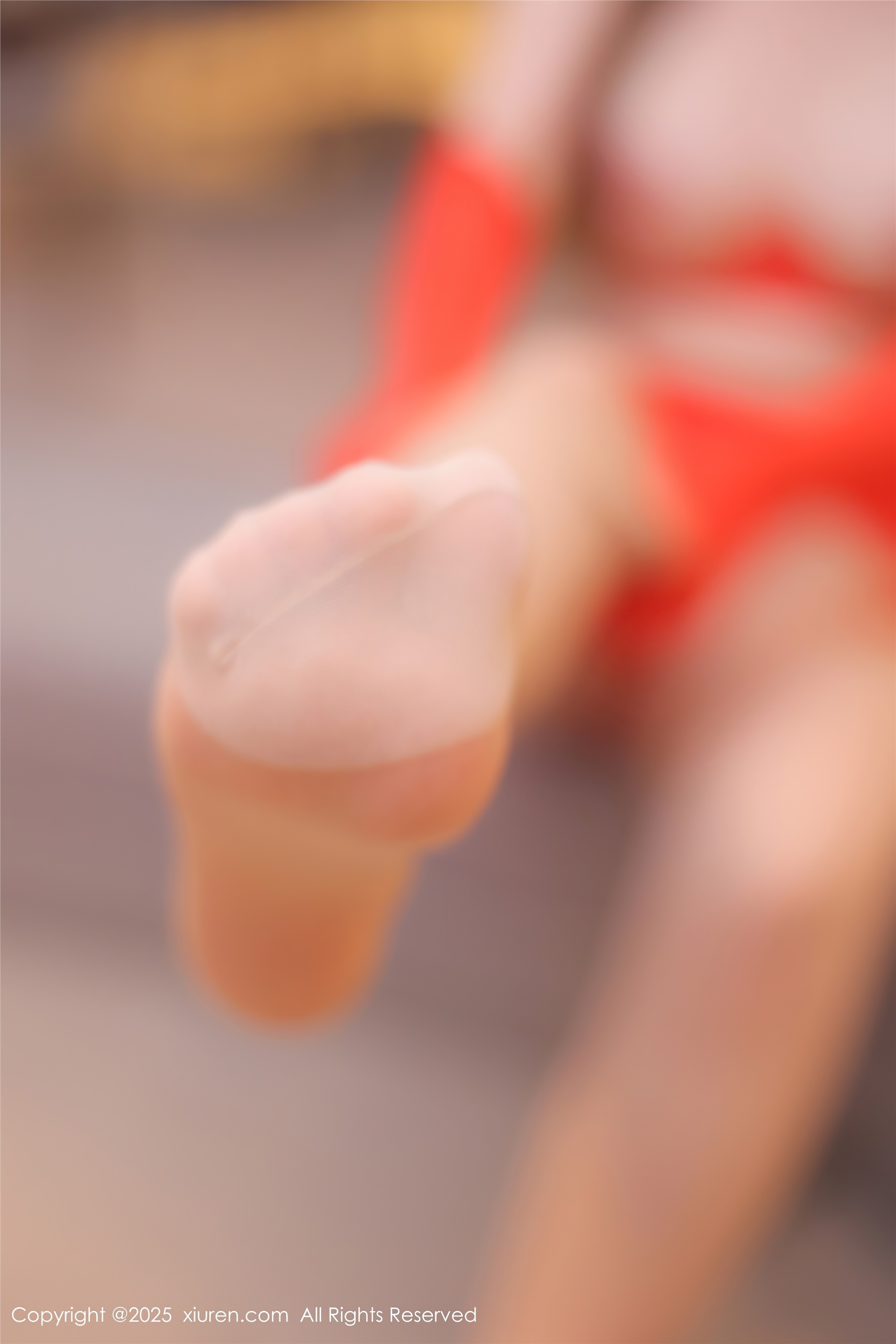 Xiuren秀人网 2025.02.27 NO.9943 爱酱里